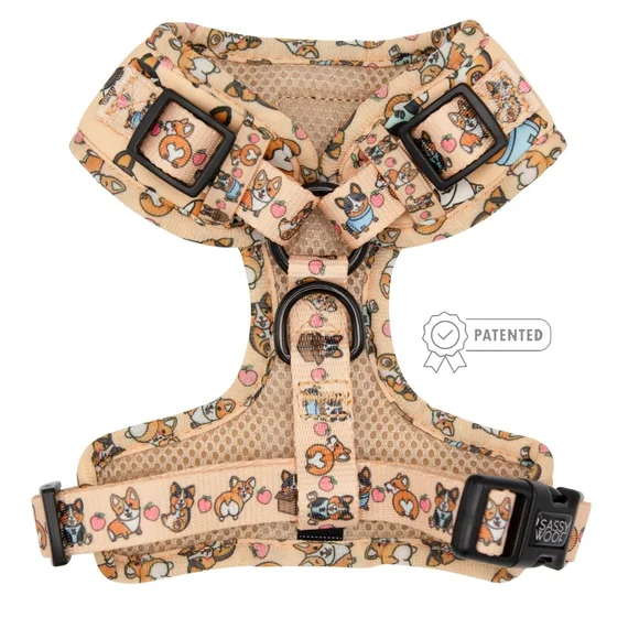 Sassy Woof Corgilicious Large Dog Harness - Picture 2 of 16